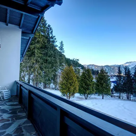 Jessy * Maurach (Achensee)